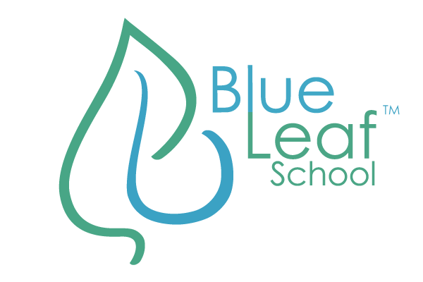 Blue Leaf Preschool